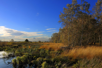 Das Groe Torfmoor