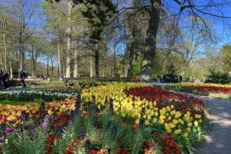 Keukenhof