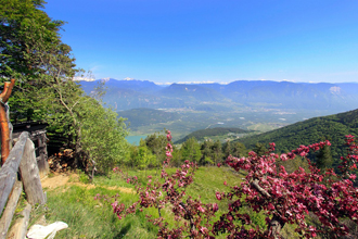 Wandern in Sdtirol