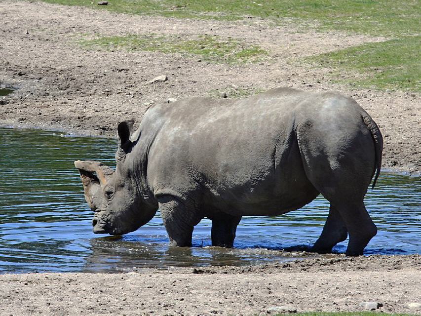 Leben im Zoo